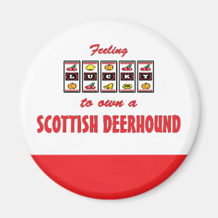 Lucky to Own a Scottish Deerhound Fun Dog Design Magnet