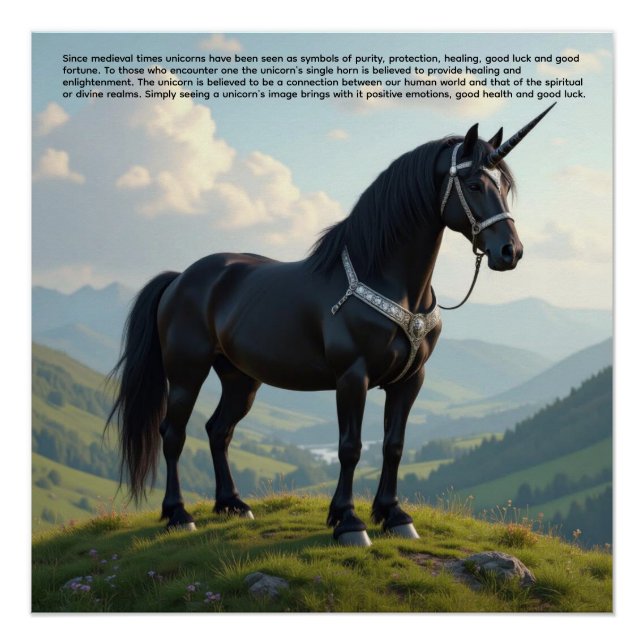 Lucky Unicorn Poster (Front)