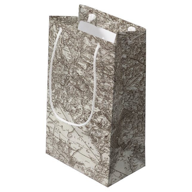 Lucon Small Gift Bag (Back Angled)