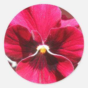 Lucrezia Classic Round Sticker