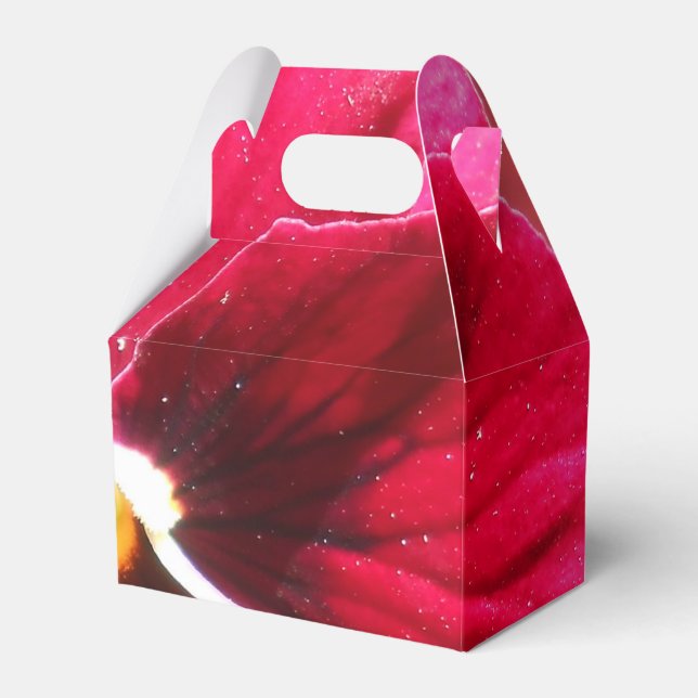 Lucrezia Favour Box (Front Side)