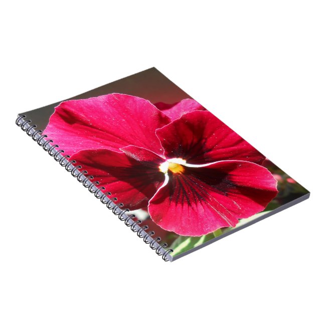 Lucrezia Notebook (Right Side)