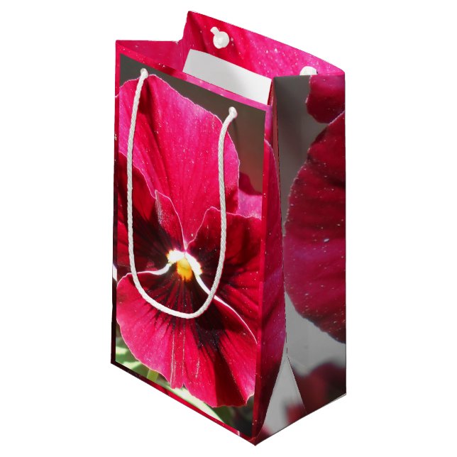 Lucrezia Small Gift Bag (Front Angled)