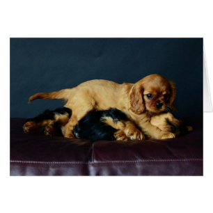 Lucy beating up her Brother