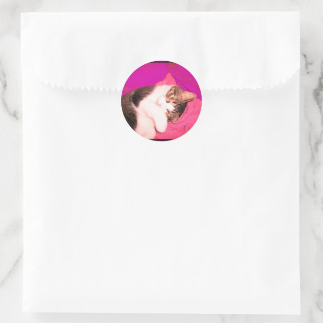 Lucy Kitty Stickers (Bag)