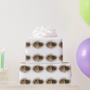 Lucy The Queen Of Cats - Wrapping Paper