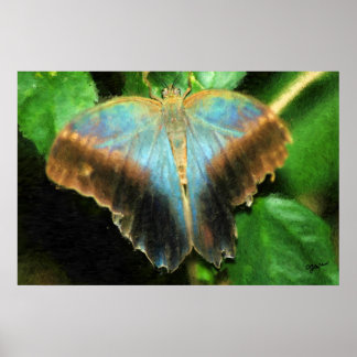 LUCY'S BUTTERFLY PRINT