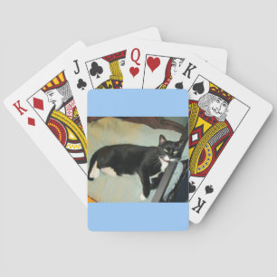 Lucy's Pillow Playing Cards