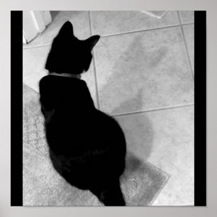 Lucy's Shadow B+W Poster