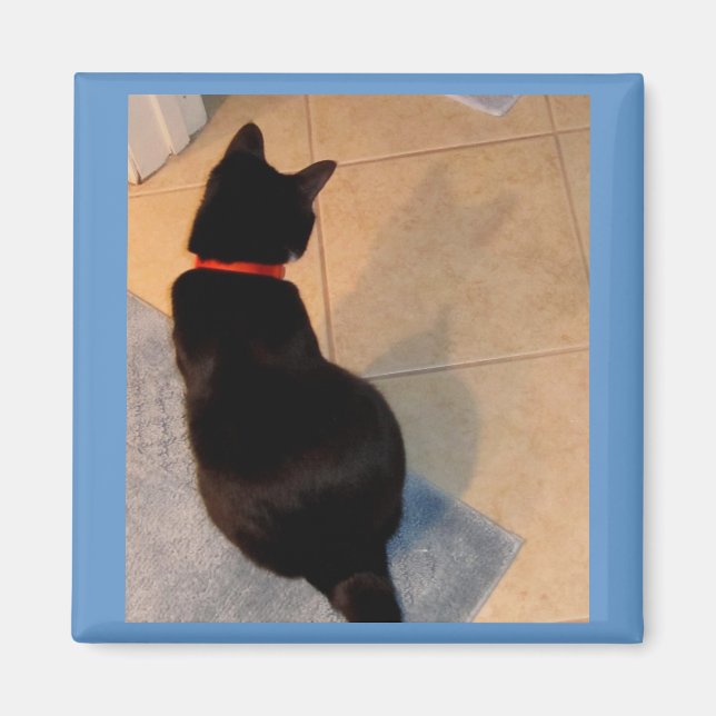 Lucy's Shadow Magnet (Front)