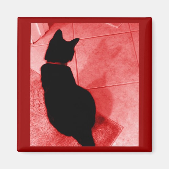 Lucy's Shadow Red Magnet (Front)