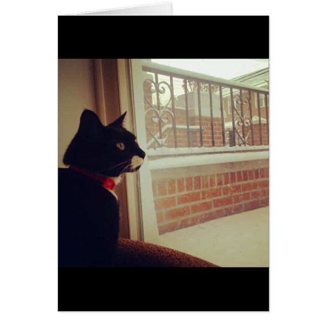 Lucy's Snow Day (Front)