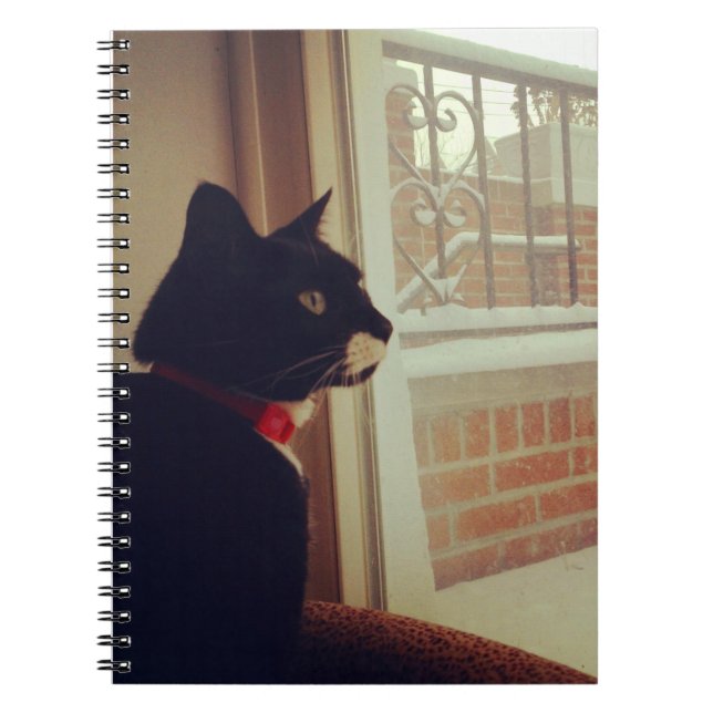 Lucy's Snow Day Notebook (Front)