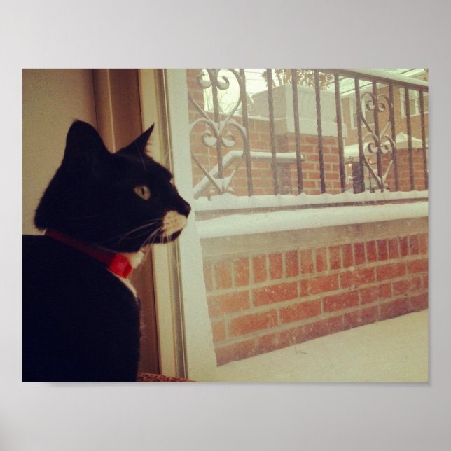 Lucy's Snow Day Poster (Front)