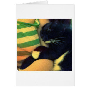 Lucy's Snuggles