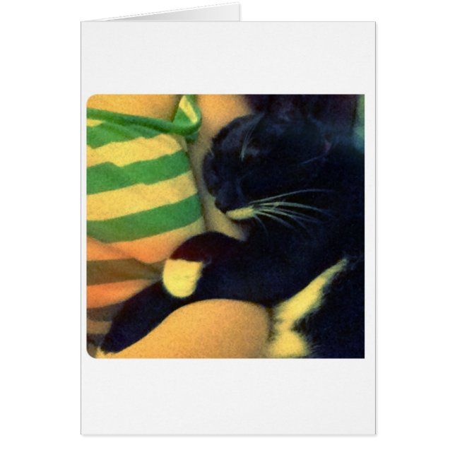 Lucy's Snuggles (Front)