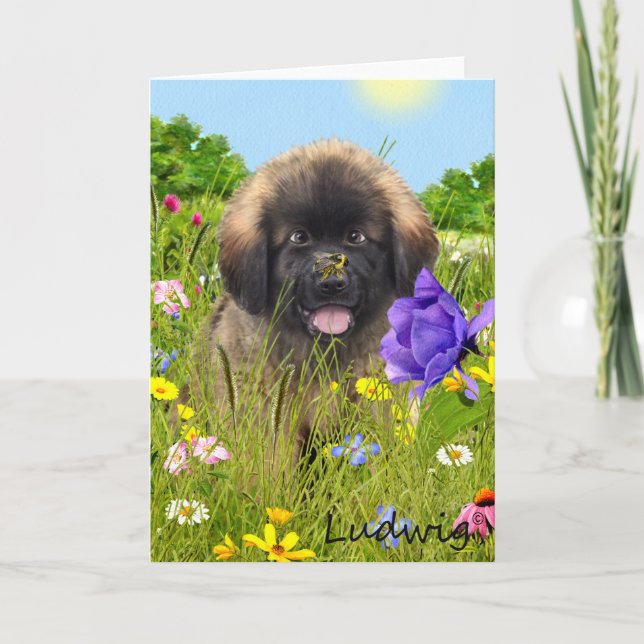 Ludwig the Leonberger Puppy Greeting Card (Front)