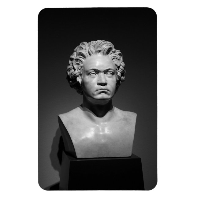 Ludwig Van Beethoven Magnet (Vertical)