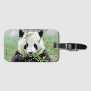 Luggage giant panda 4 . luggage tag
