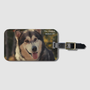 Luggage Tag