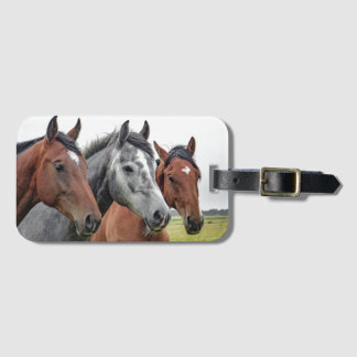 Luggage Tag & BusinessCard Slot for Horse Lovers