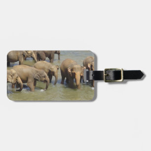 Luggage Tag - Customised