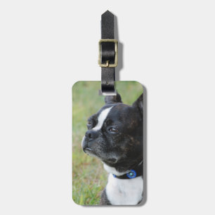 Luggage Tag - Customised