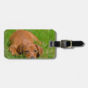 Luggage Tag - Customised