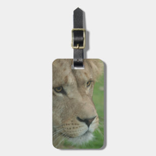 Luggage Tag - Customised