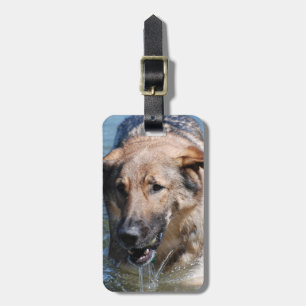 Luggage Tag - Customised
