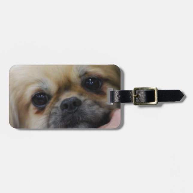 Luggage Tag - Customised (Front Horizontal)
