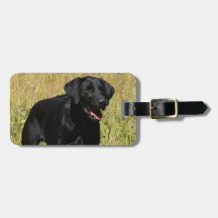 Luggage Tag - Customised