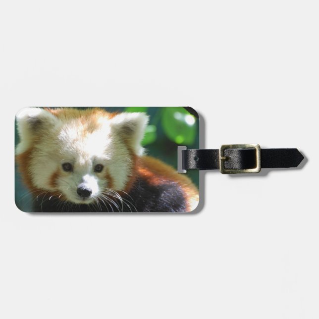 Luggage Tag - Customised (Front Horizontal)