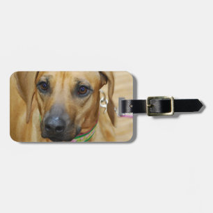Luggage Tag - Customised