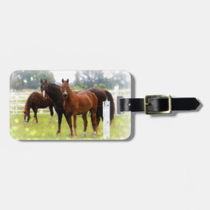 Luggage Tag/Horses Tag