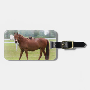 Luggage Tag/Horses Tag