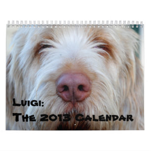 Luigi: The 2013 Calendar