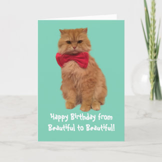 Luigi The Lion Cat Birthday Card