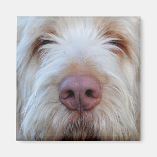 Luigi's Booper Fridge Magnet