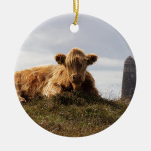 Luing cow on the Isle of Islay, Scotland Ceramic Tree Decoration