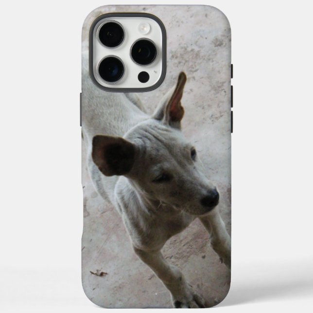 Luk Maa ... Thai Soi Puppy Dog Case-Mate iPhone Case (Back)