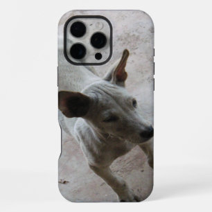 Luk Maa ... Thai Soi Puppy Dog iPhone Case