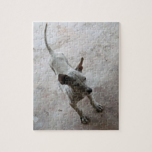 Luk Maa ... Thai Soi Puppy Dog Jigsaw Puzzle (Vertical)