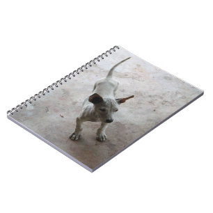 Luk Maa ... Thai Soi Puppy Dog Notebook
