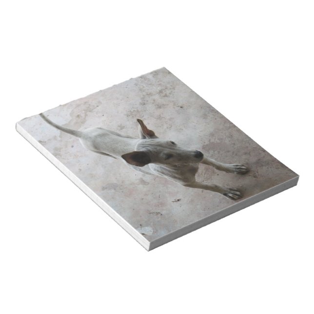 Luk Maa ... Thai Soi Puppy Dog Notepad (Angled)