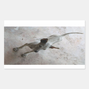 Luk Maa ... Thai Soi Puppy Dog Rectangular Sticker