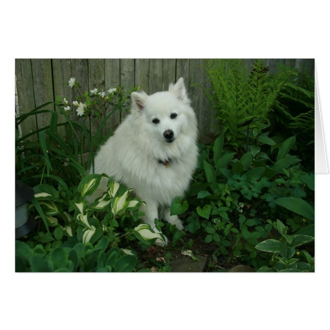 Luka (Front Horizontal)