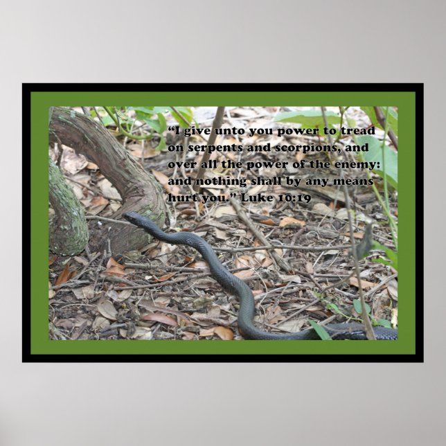 Luke 10:19 Scripture Poster (Version B) (Front)