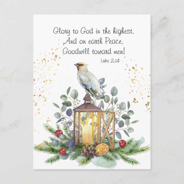 Luke 2:14 Glory to God in the Highest Christmas Postcard (Front)