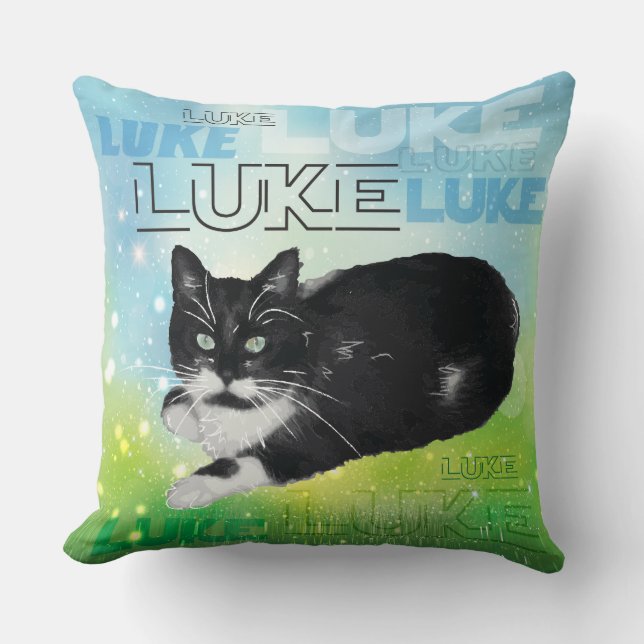 LUKE the Cat Cushion (Front)